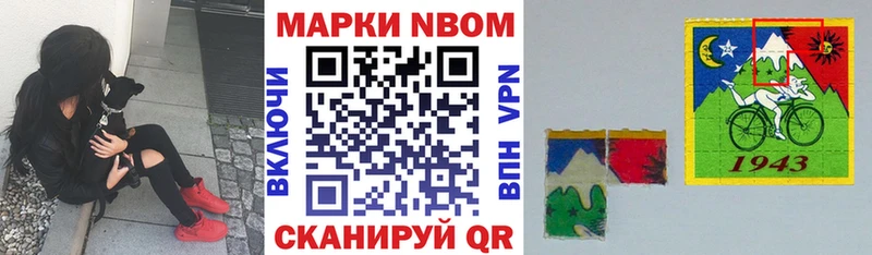 блэк спрут вход Хадыженск Марки N-bome 1,8мг