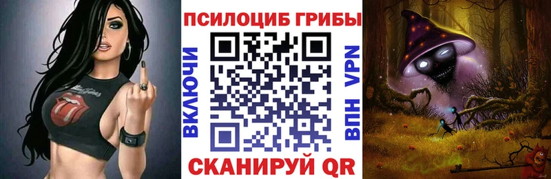 где купить наркоту  Хадыженск  Галлюциногенные грибы мицелий 